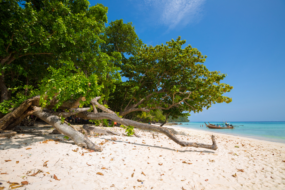 Andaman